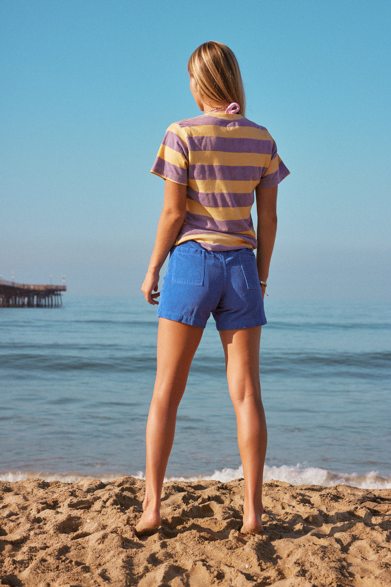 Surf Stripes Purple/Yellow